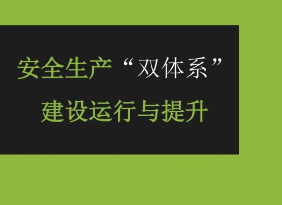 正確構(gòu)建雙重預(yù)防體系的思路淺述